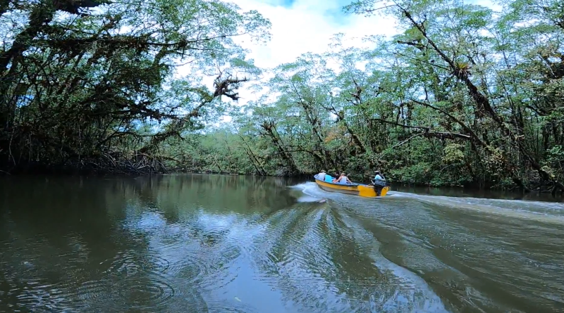 Paseo esteros y manglares - Hotel Bahia del Sol Ladrilleros